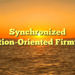 Synchronized Solution-Oriented Firmware