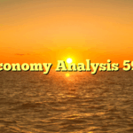 Economy Analysis 598