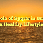 The Role of Sports in Building a Healthy Lifestyle