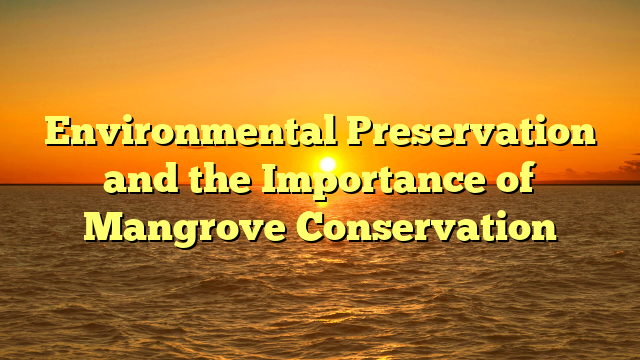 Environmental Preservation and the Importance of Mangrove Conservation